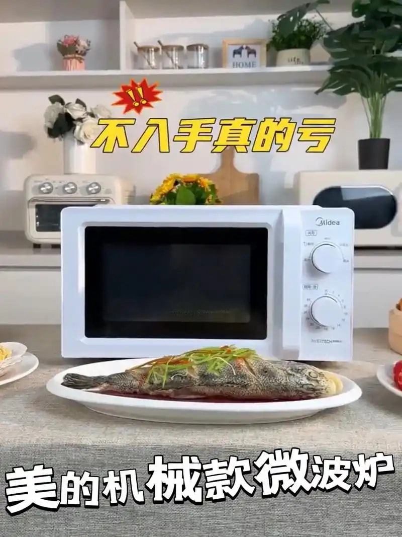 机械转盘微波炉